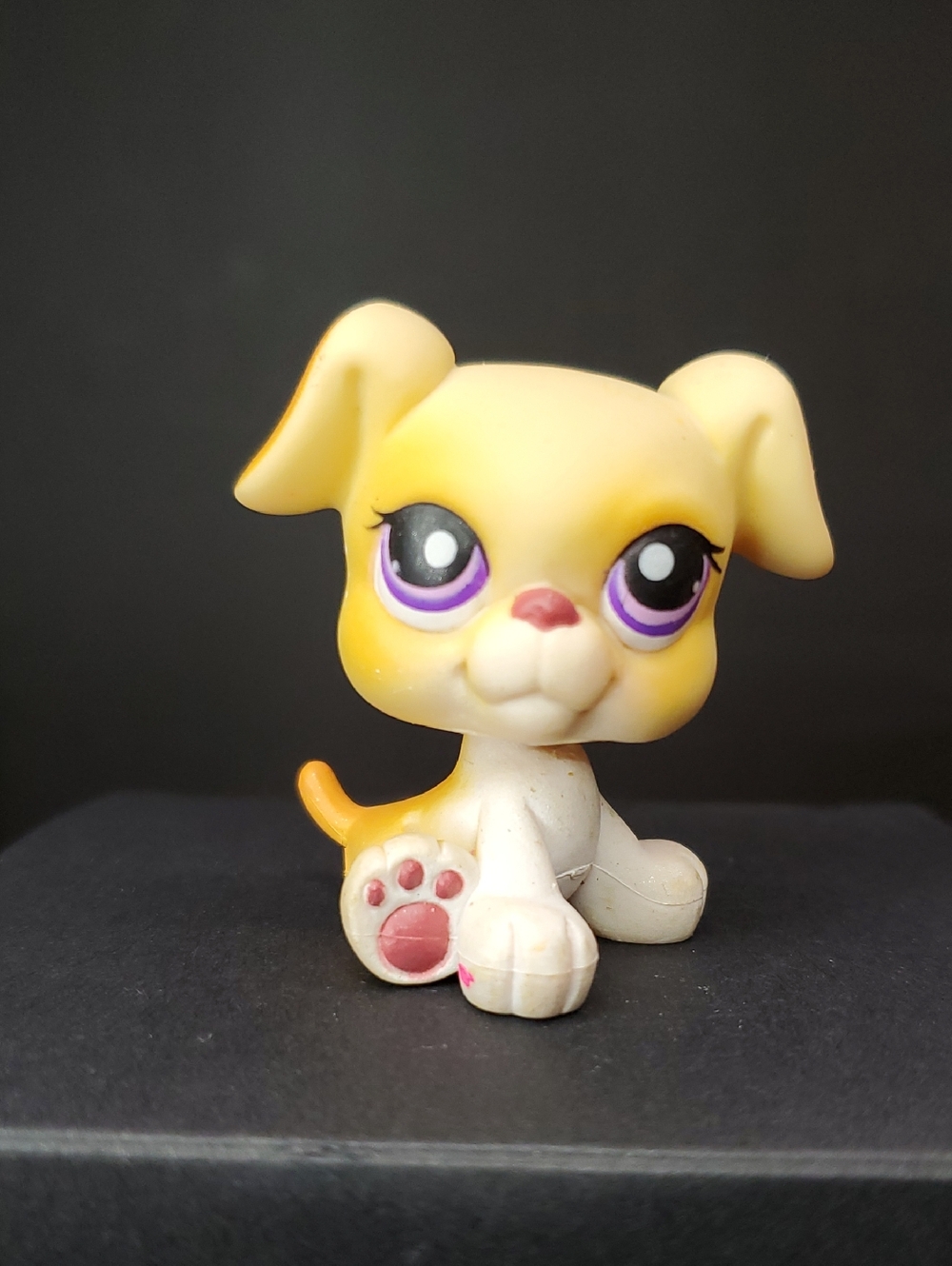 LPS Littlest Pet Shop #451 Tan Boxer 2007
